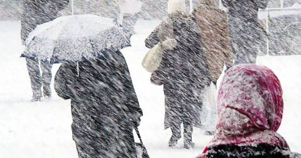 Морозы до -23 и снегопады: украинцев предупредили о сильном похолодании