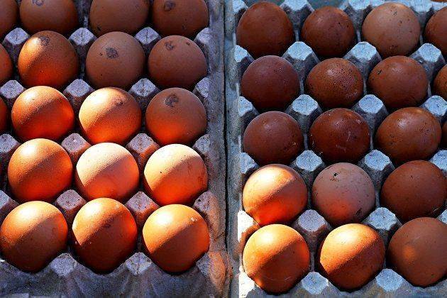 Россельхознадзор: первые поставки яиц из Турции прибыли в Россию