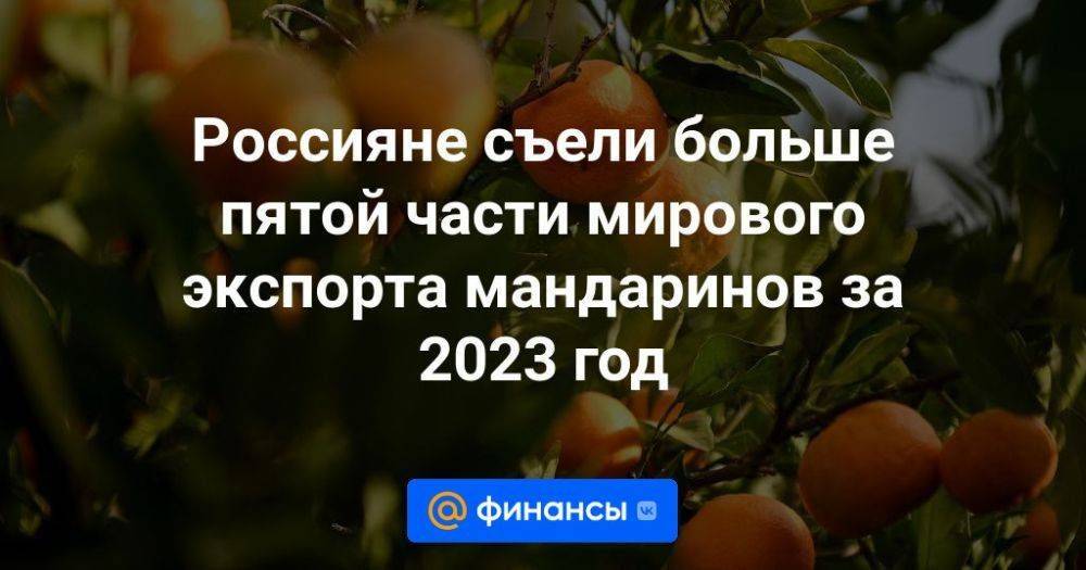 Россияне съели больше пятой части мирового экспорта мандаринов за 2023 год