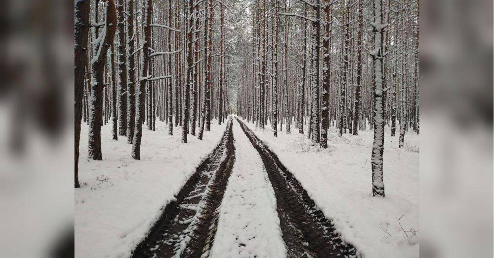 Морозы усилятся, а на юге тепло, даже с «плюсами»: какая погода ждет украинцев в ближайшие дни