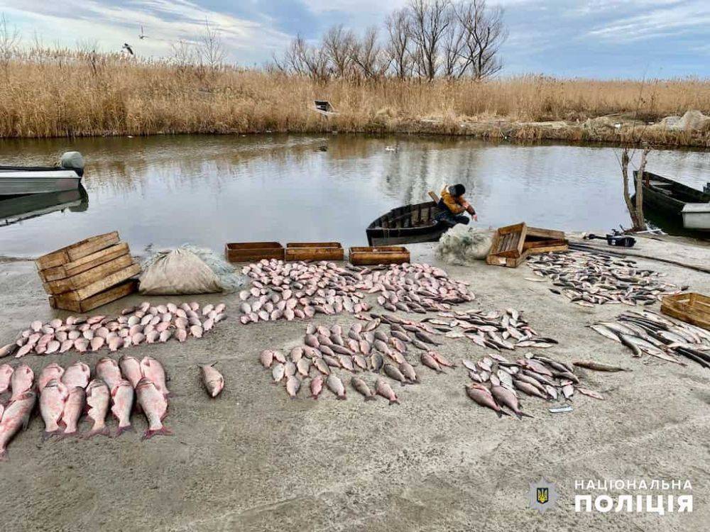 В Одесской области задержали браконьеров с 250 кг рыбы | Новости Одессы