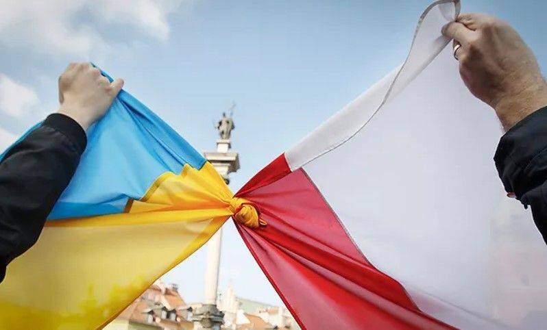 Украинцы получили возможность бесплатно учить польский язык: как это сделать