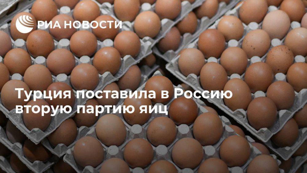 Россельхознадзор: Турция поставила в РФ вторую партию яиц