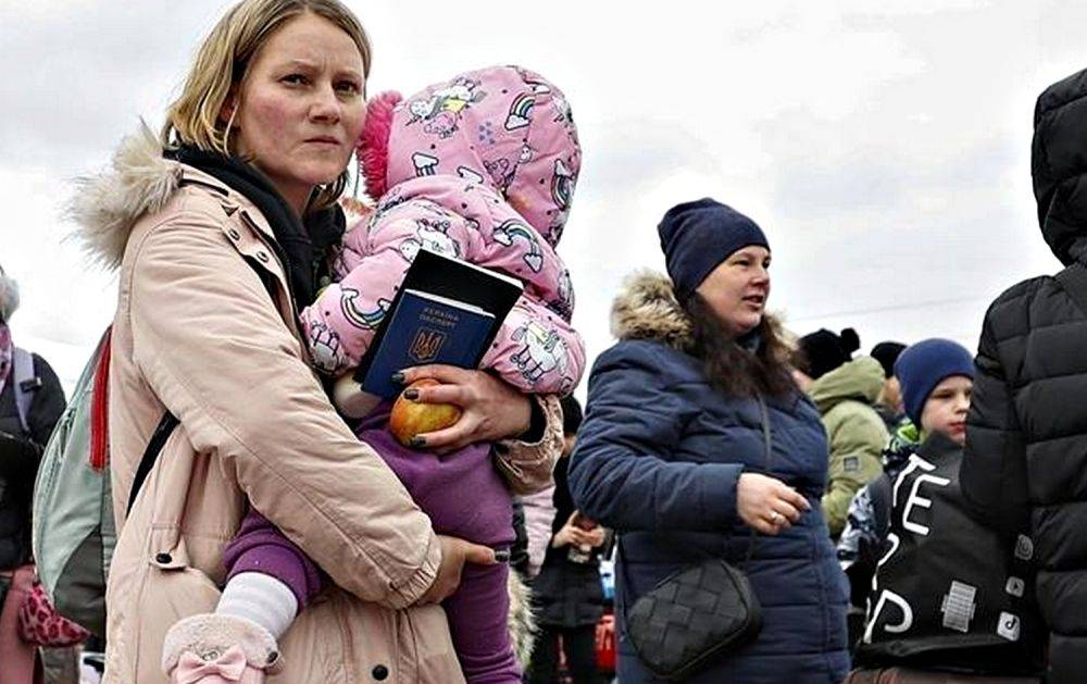 В Бундестаге предположили, сколько украинцев покинут страну в случае победы РФ