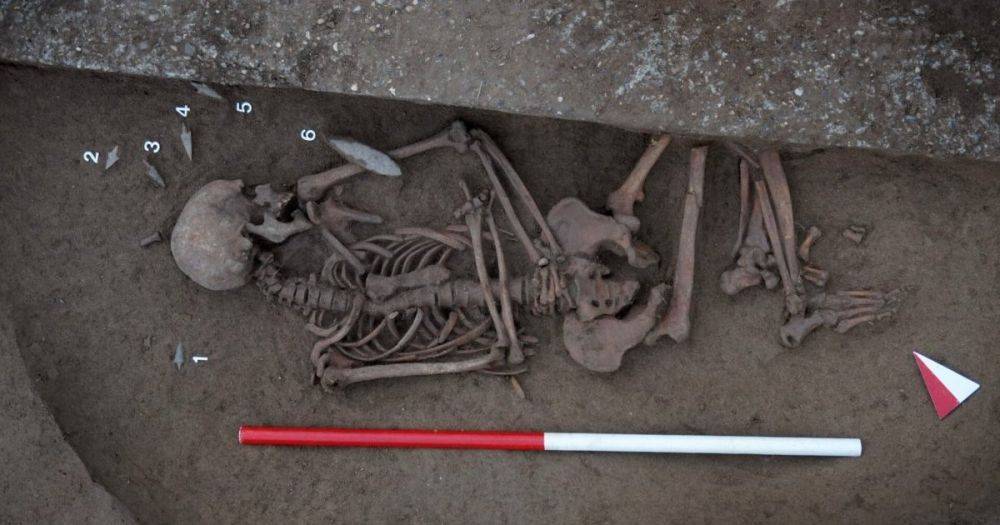 В Италии нашли некрополь медного века: ученые не знают его настоящих размеров (фото)