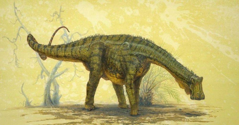 Больше никакого расизма и сексизма: ученые предложили переименовать десятки динозавров
