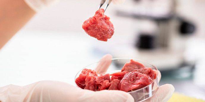 В США предложили наказывать за продажу искусственного мяса