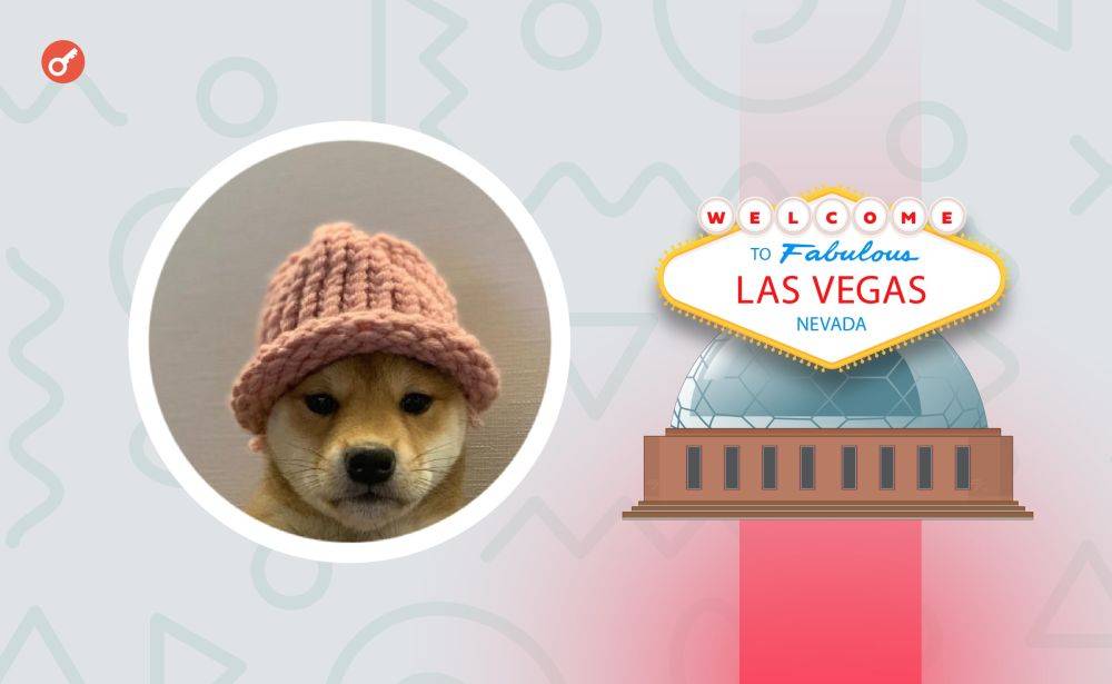 Сообщество Dogwifhat собрало более $700 000 для рекламы криптомема на «сфере» в Лас-Вегасе