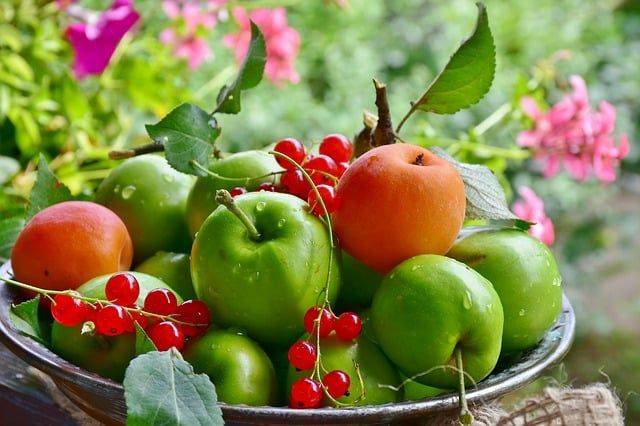 Названы семь плодов, которые эффективно ускоряют метаболизм