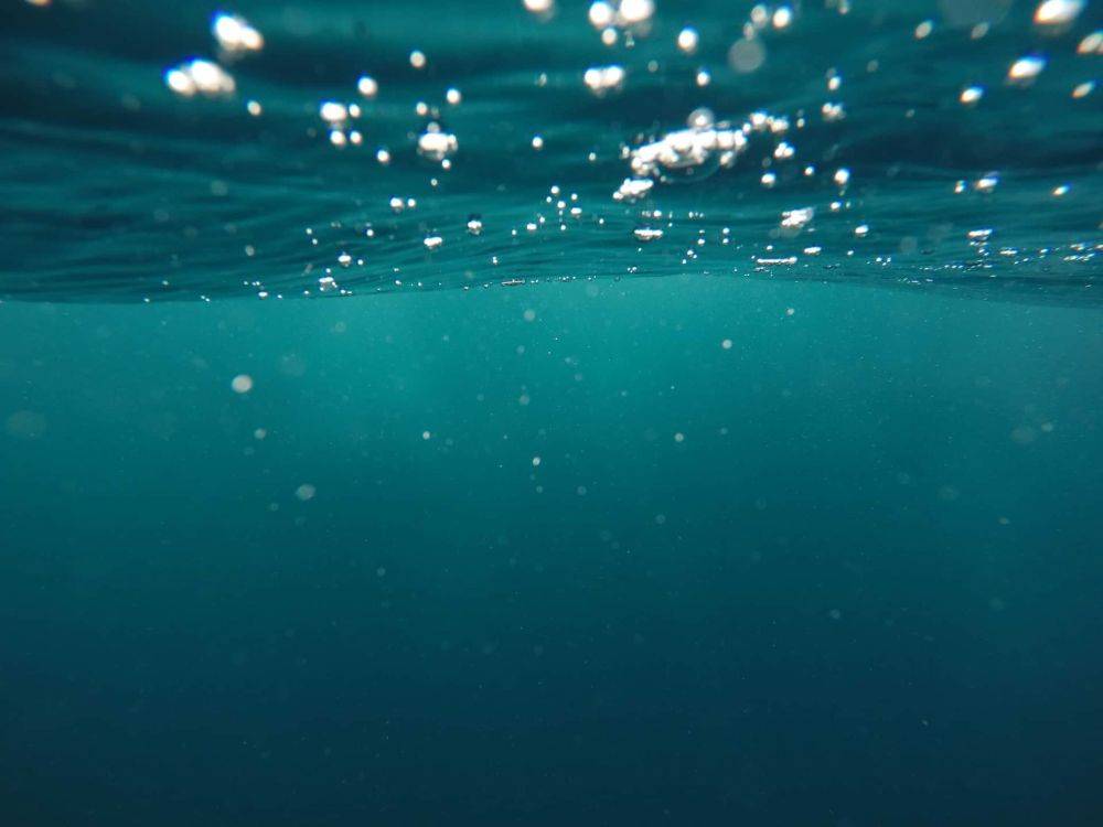 Доктор из США утверждает, что "помолодел", проведя 100 дней под водой