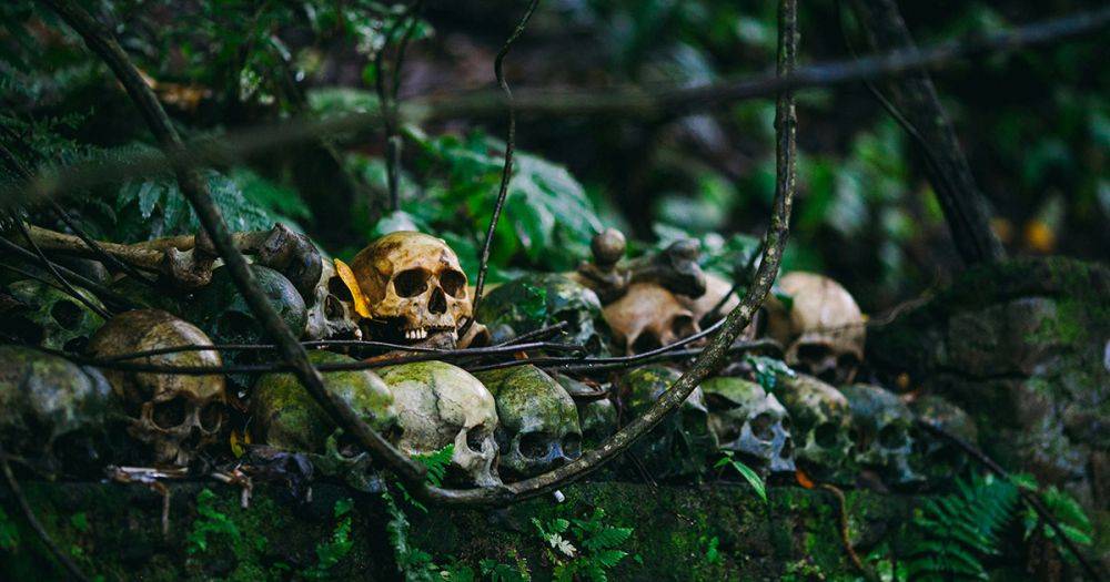 Внезапный поцелуй смерти: на людей из эпохи неолита охотились невидимые убийцы