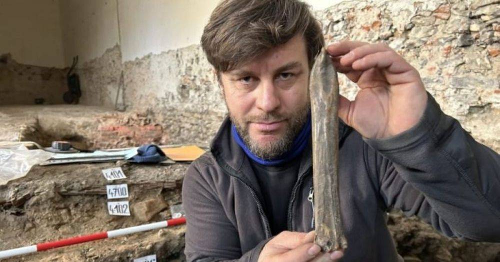 Тысячелетний артефакт раскопали в Чехии: ученые нашли средневековый костяной конек (фото)