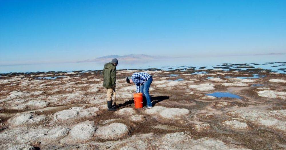 Там мало бы кто выжил: ученые нашли новый вид существ в Большом Соленом озере