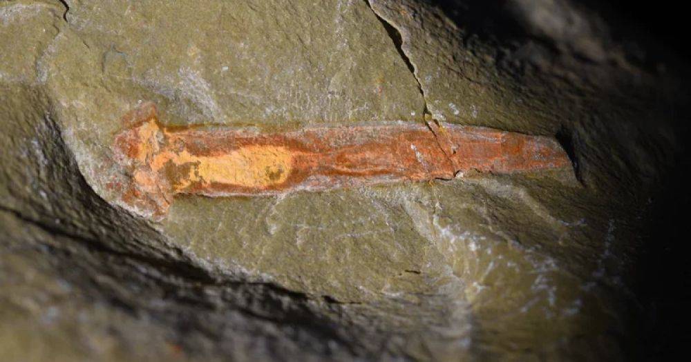Жили на 25 млн лет дольше: древние черви опровергли теорию ученых о возникновении жизни