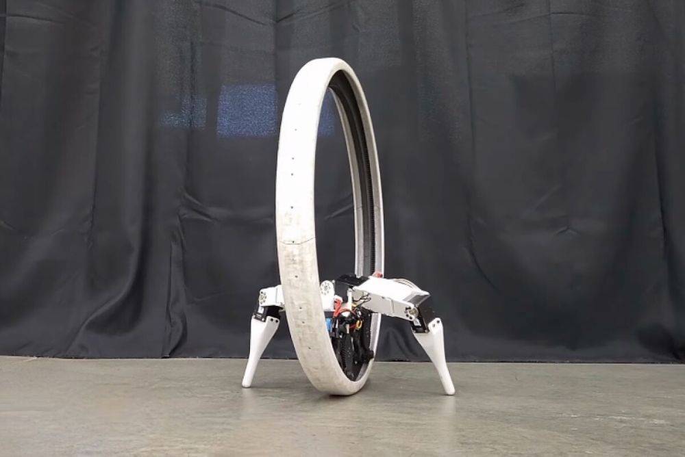 Инженеры из США представили моноколёсного робота Ringbot