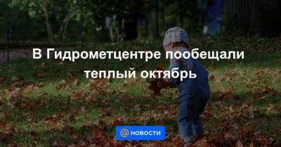 В Гидрометцентре пообещали теплый октябрь