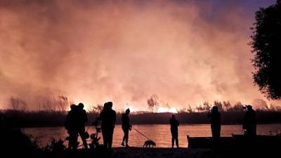 До 85 гектаров увеличилась площадь природных пожаров в Воронежской области