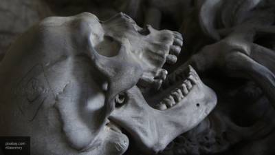 Известный британский хирург собрал коллекцию из тысяч человеческих костей