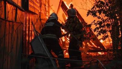 Стали известны подробности разрушительного пожара, уничтожившего село под Воронежем