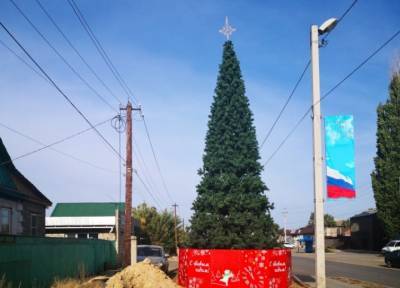 Этот год уже надоел: в Волгоградской области власти установили новогоднюю елку