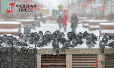 Омскую область накроет снегом