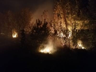 Три человека погибли в лесных пожарах в Луганской области – Венедиктова
