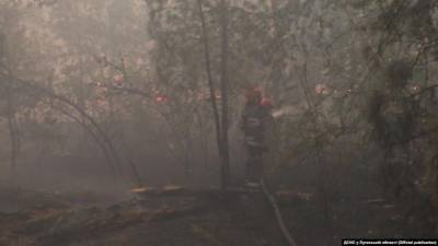 Пожары в Луганской области: в Северодонецке отменили занятия в школах