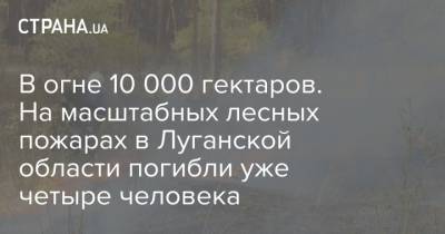 В огне 10 000 гектаров. На масштабных лесных пожарах в Луганской области погибли уже четыре человека