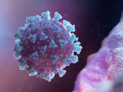 В мире уже более 34,1 миллиона случаев коронавируса