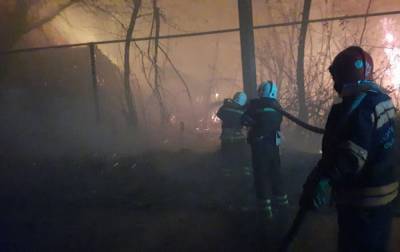 В ООС назвали причину пожаров в Луганской области