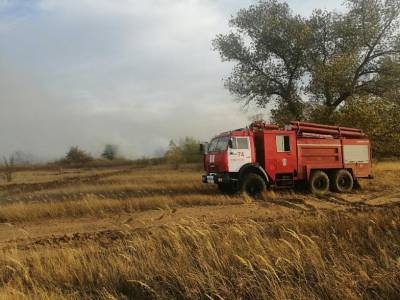 В Ростовской области горят леса и поля, самая сложная обстановка - в Цимлянском районе