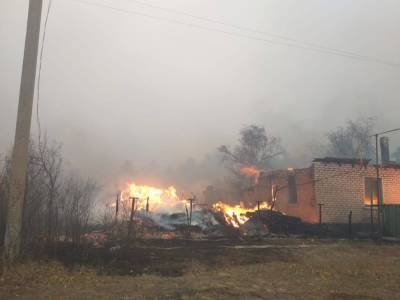 Пожары на Луганщине: появилась официальная информация о погибших