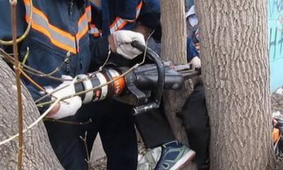 Спасатели помогли девочке, которая застряла в ветвях дерева
