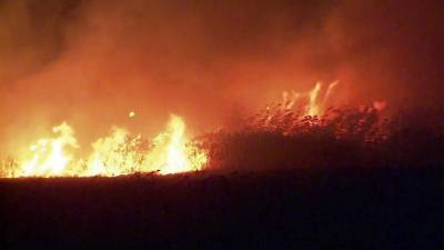 В Ростовской и Воронежской областях борются с природными пожарами