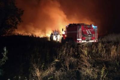 В Ростовской области площадь двух лесных пожаров выросла до 280 га