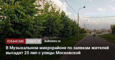 В Музыкальном микрорайоне по заявкам жителей высадят 20 лип с улицы Московской