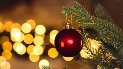 В Волгоградской области установили новогоднюю елку — видео