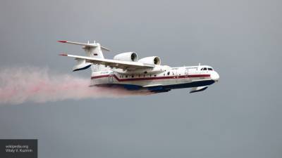 Жители Турции испугались пожарных самолетов России
