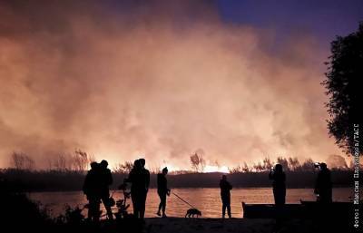 В Воронежской области площадь природных пожаров превысила 320 га