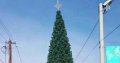 Уйди, 2020-ый год: под Волгоградом установили новогоднюю елку