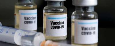 Гинцбург рассказал принцип испытания вакцины от COVID-19 «Спутник V»