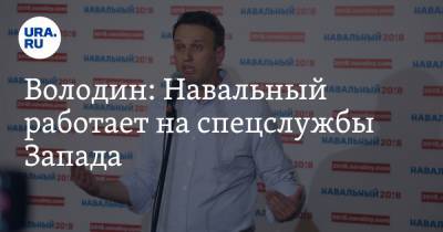 Володин: Навальный работает на спецслужбы Запада