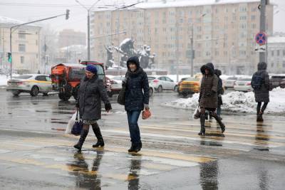 Синоптики рассказали когда в Москве выпадет снег