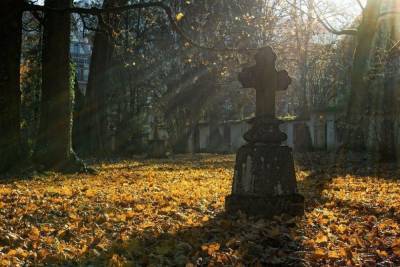 Вандалы осквернили могилы в Порховском районе