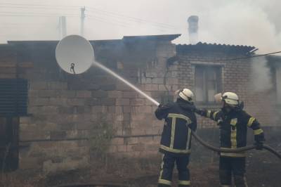 Лесные пожары в Луганской области: В ГСЧС обнародовали видео с масштабами разрушения и ликвидацией возгораний