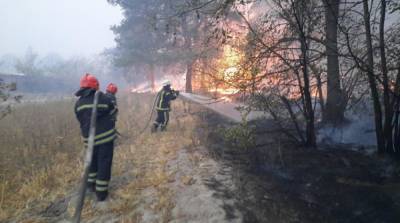 Пожары в Луганской области: спасатели назвали три основных очаги огня