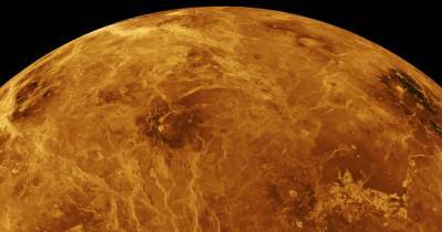 NASA не заметило признаки жизни на Венере 42 года назад