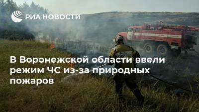 В Воронежской области ввели режим ЧС из-за природных пожаров