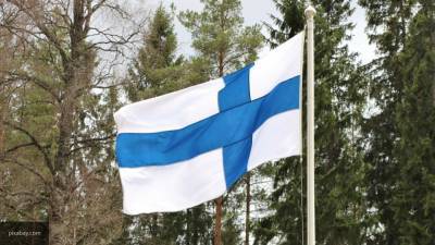 Запрет на вывоз древесины из России расстроил финляндские компании