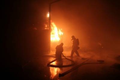 На Луганщине бушуют лесные пожары, Киев обвиняет ЛНР